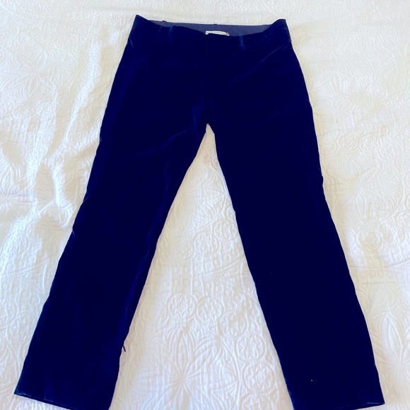 Alice + Olivia Blue Velvet Pants - Picture 1 of 7